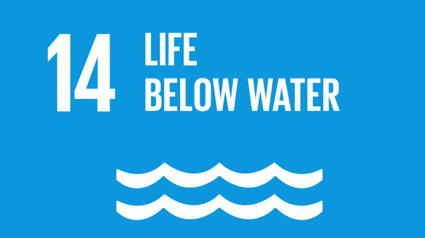 SDG 14 : Life Below Water