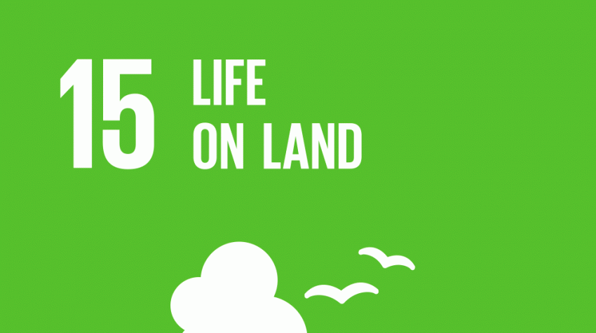 SDG 15 : Life on Land