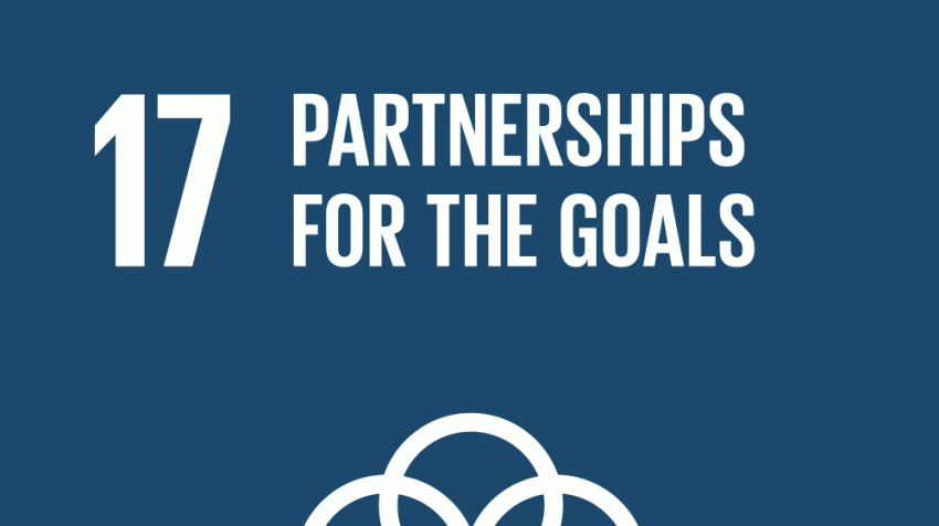 SDG 17 : Partnerships for the Goals