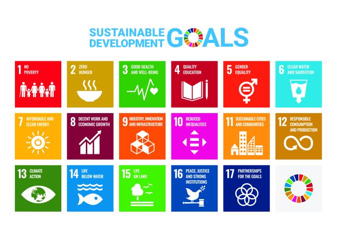 The Sustainable Development Goals