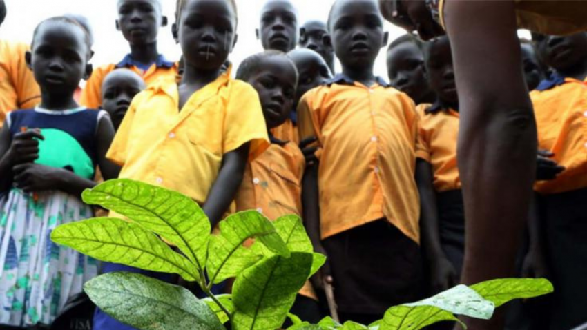 Group of children planting trees