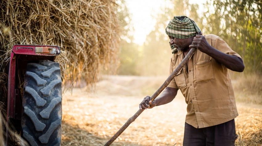 Small-scale farmers face several challenges (Photo: Kristu Jayanti College)