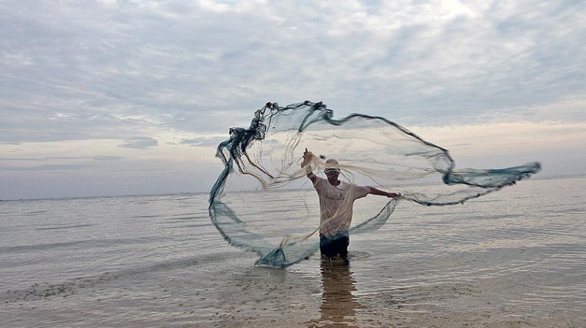 Un pêcheur jette un filet dans l'eau pour attraper de petits poissons. 