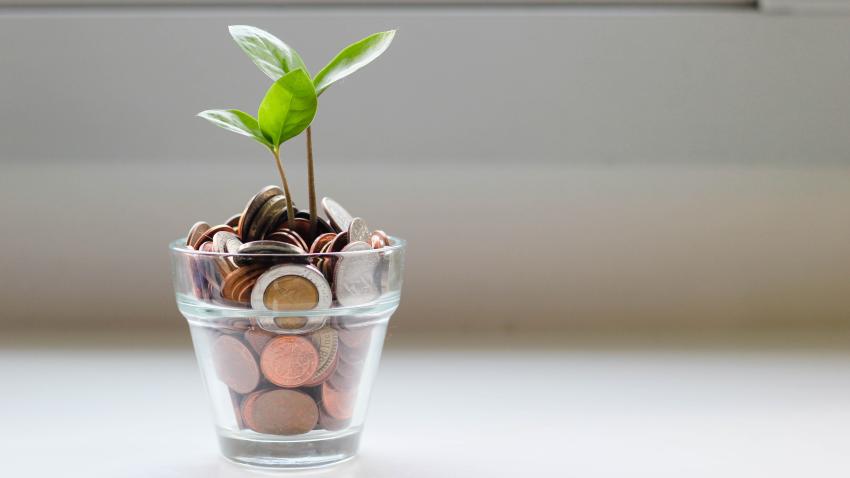 A glass is filled with coins and a small plant