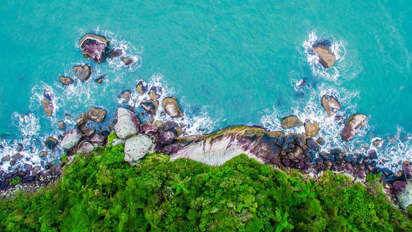 Aerial view of a forest growing on a cliff