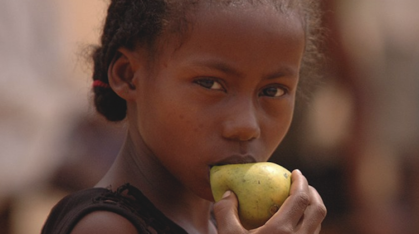 Press release cover image of young girl eating a pear