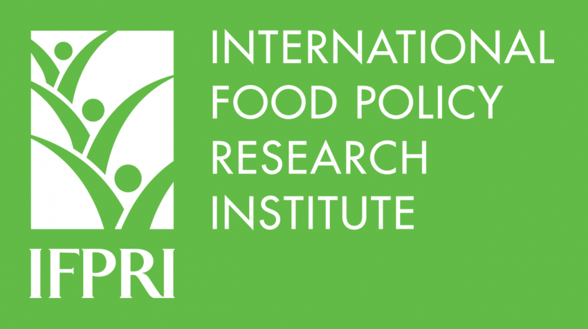 IFPRI logo