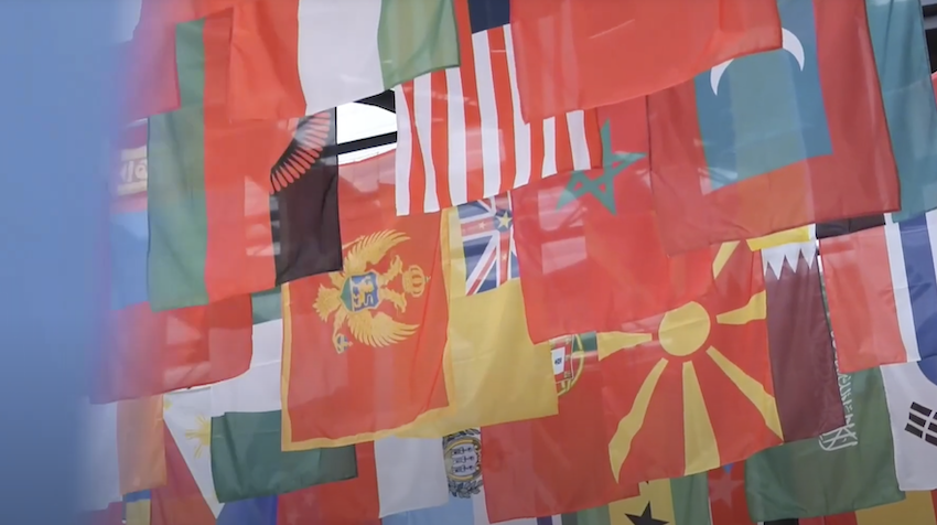 Un Member State flags hanging