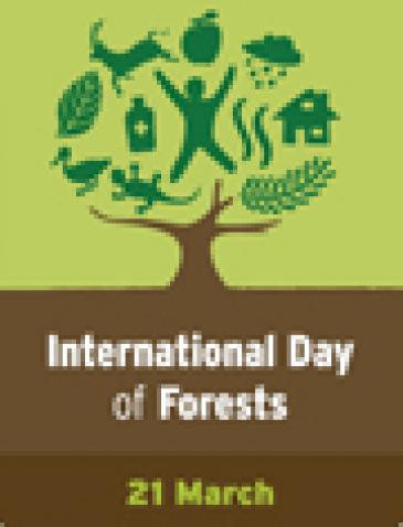 Día de los Bosques: FAO propone reducir a cero la deforestación ilegal