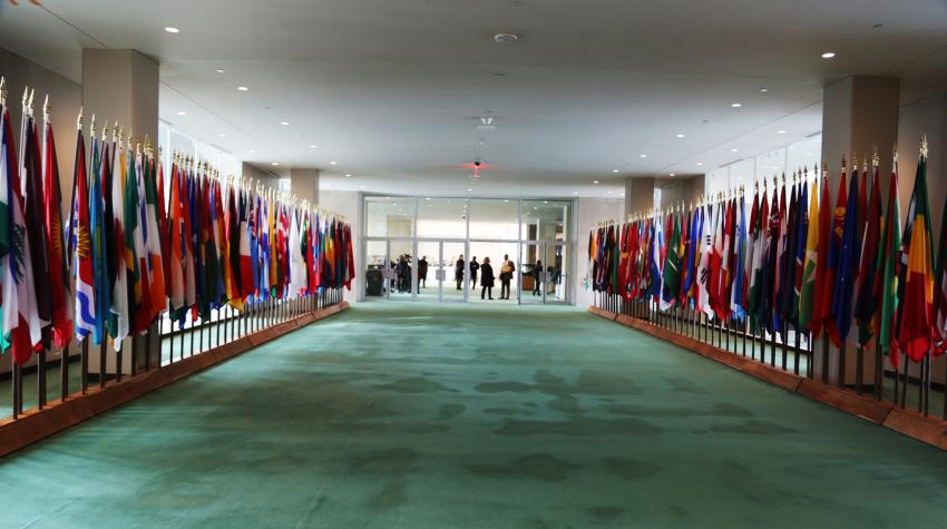 Long green-carpeted hallway with member state flags on each side.