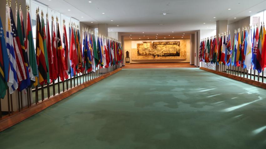 Long green-carpeted hallway with member state flags on each side and a painting gifted from Mexico at the end of the hallway. 
