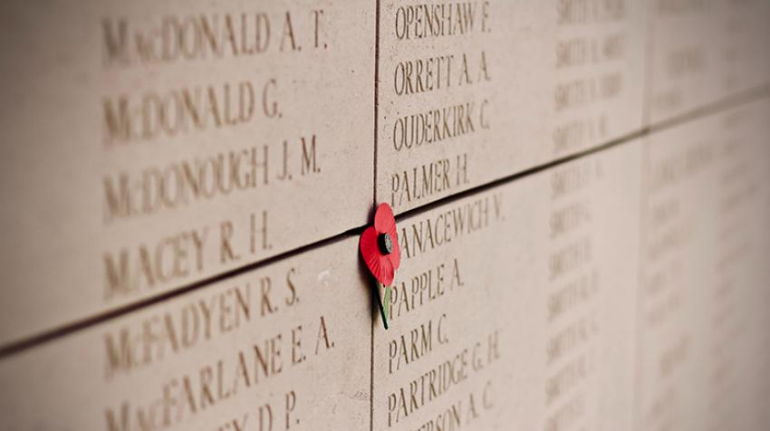 A poppy memorializes lives lost during World War I in Belgium. Photo courtesy Jelleke Vanooteghem / unsplash