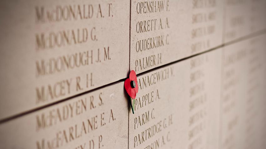 A poppy memorializes lives lost during World War I in Belgium. Photo courtesy  Jelleke Vanooteghem / unsplash