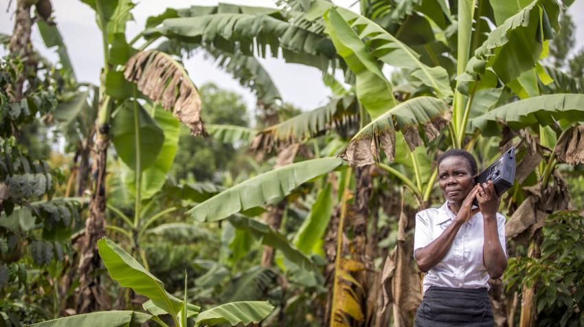 Pulse Lab Kampala travaille sur un projet pour évaluer la qualité de la fourniture des services de santé en Ouganda par le biais de la radio. Mars 2017. © UN Global Pulse 