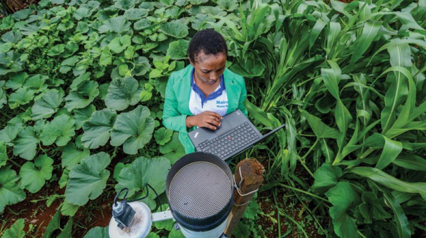 Collecting rainwater data on the farm. Tana River watershed, Kenya. 30 November 2016. © CIAT/ Georgina Smith