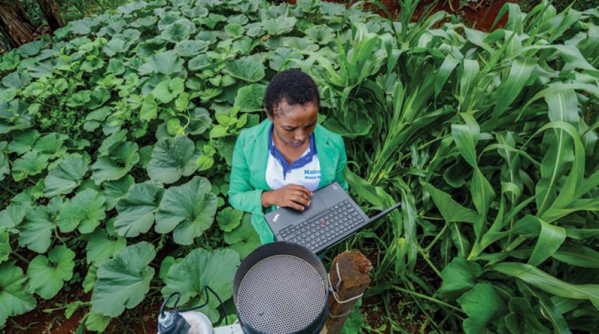 Recopilando datos sobre el agua de lluvia en la granja. Cuenca de drenaje del río Tana, Kenya. 30 de noviembre de 2016. © CIAT/Georgina Smith