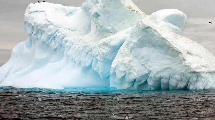 View of the melting Collins Glacier in Antarctica, showing the effects of climate change.   