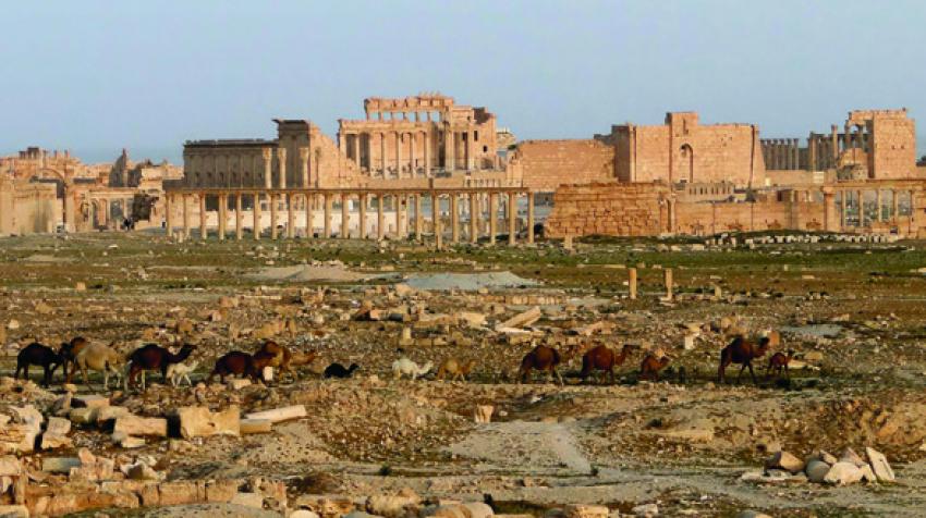 Ruines de la citadelle islamique de Palmyre en République arabe syrienne, un site classé du patrimoine mondial, 2010.  © Wikipedia/Bernard Gagnon