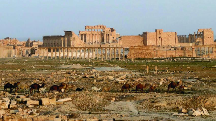 Руины исламской цитадели Пальмиры в Сирийской Арабской Республике, Объект мирового наследия, 2010.  ©«Википедия»/Бернар Ганьон