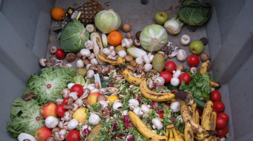Légumes jetés au Luxembourg. Les distributeurs et les restaurants sont tenus de prendre des mesures pour réduire le gaspillage dans les pays développés. 10 mars 2013. ©OpenIDUser2.