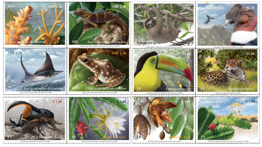 UN Stamps show endangered species of South America and Caribbean |  Организация Объединенных Наций