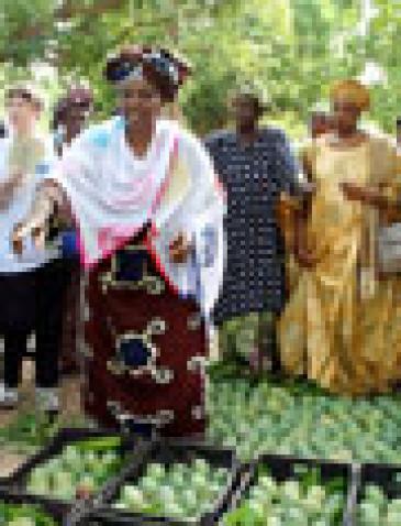 visit a small scale mango farm in Mali run and owned by women Mali (UN Photo UNDP)