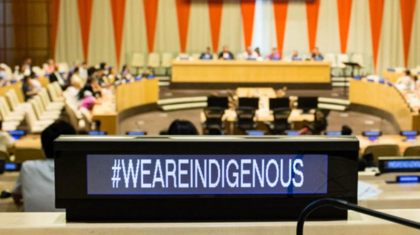 20th Session of the Permanent Forum on Indigenous Issues (2021)