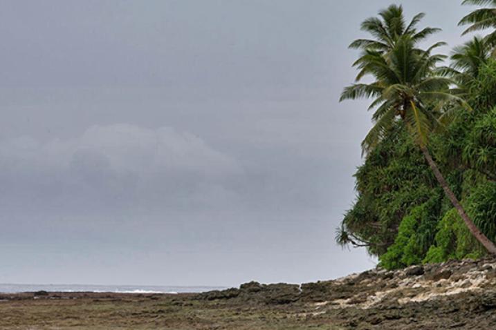 A causeway in Tuvalu, with the ocean in the background, and the beach and trees in the foreground.