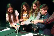 Almost 2,000 children from 14 schools have participated, showcasing nearly 90 scientific projects of their own (Photo: UdA)