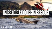 Incredible dolphin airlift! Plus the secret to saving many dolphins and battling climate change.