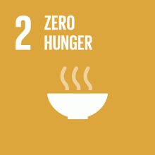 SDG 2 : Zero Hunger