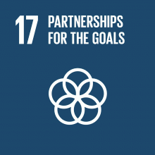 SDG 17 : Partnerships for the Goals