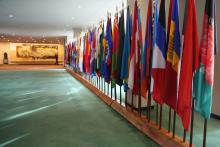 Green-carpeted hallway of the Flag Hall from the left side of the space with flags zoomed in. 