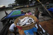 More than 17 million people work in the fisheries sector in Bangladesh (Photo: FAO / Munir Uz Zaman)
