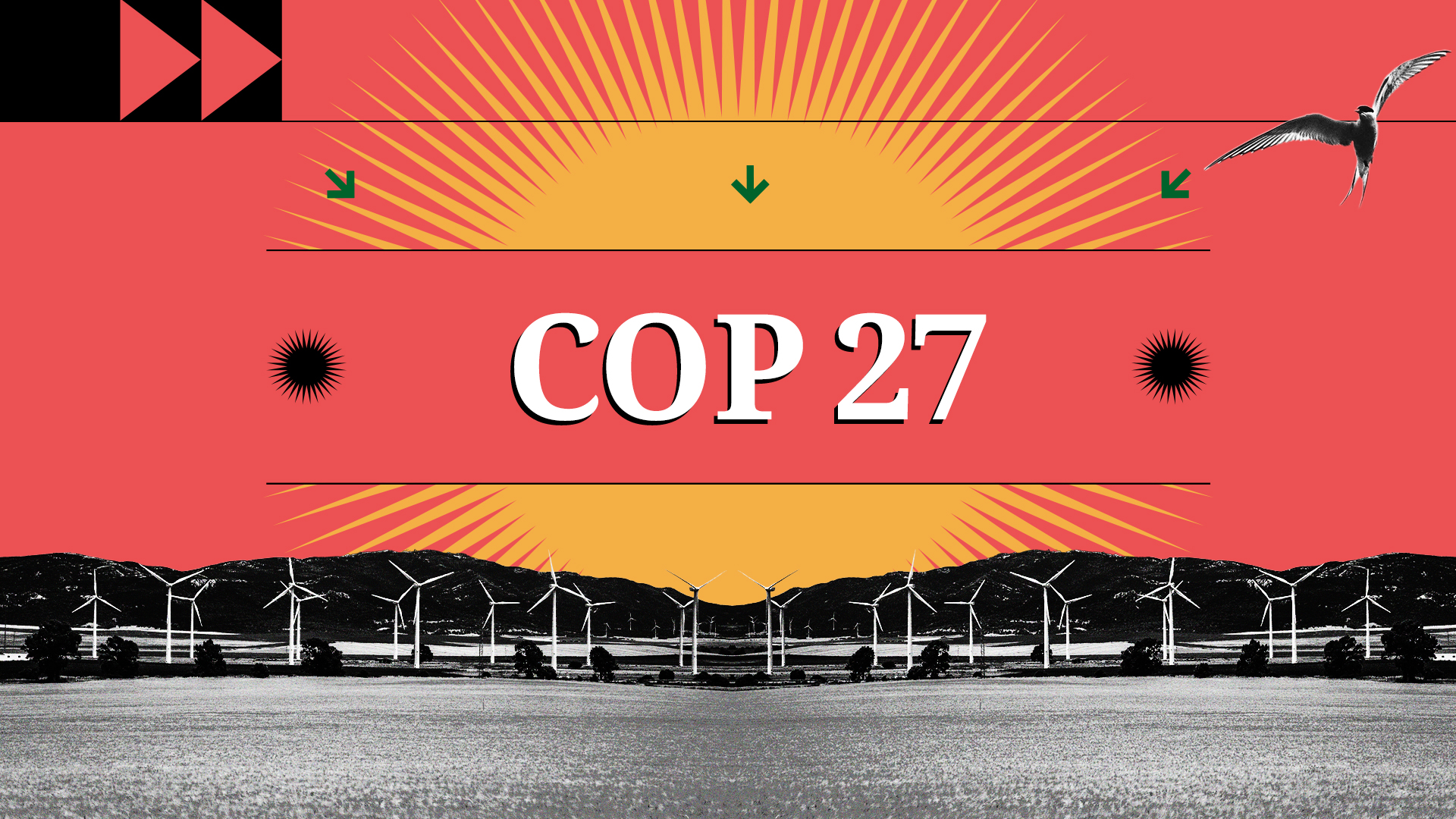 COP27