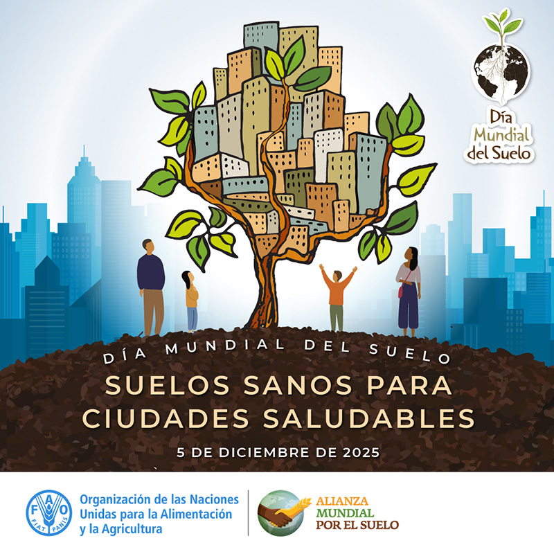 Póster oficial del Día Mundial del Suelo 2025