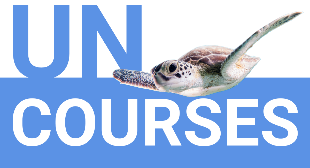 a turtle swims along the words UN Courses