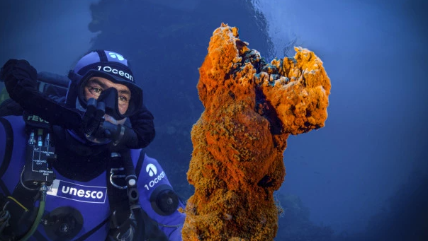 غواص يرتدي بذلة غوص عليها شعار يونسكو ينظر إلى كتلة بركانية تحت الماء 