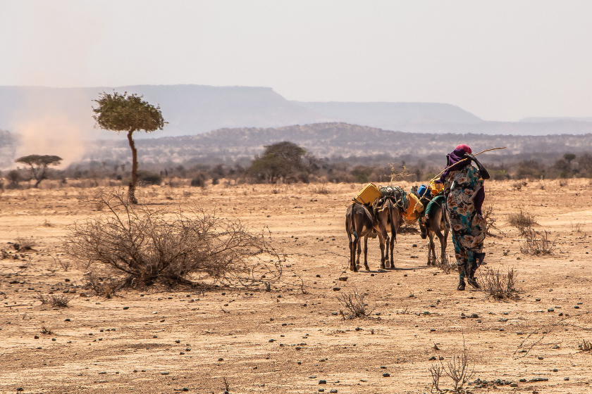 A woman waling through an arid desert. 