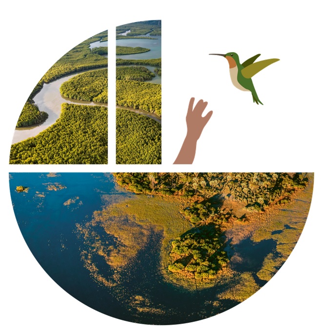 Un cercle illustrant notre planète, la moitié d'en bas représente une zone aride, le quart en haut à gauche représente une zone boisée, le quart en haut à droite représente une main et un oiseau