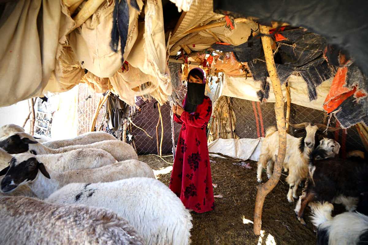 A girl and goats inside her temporary shelter