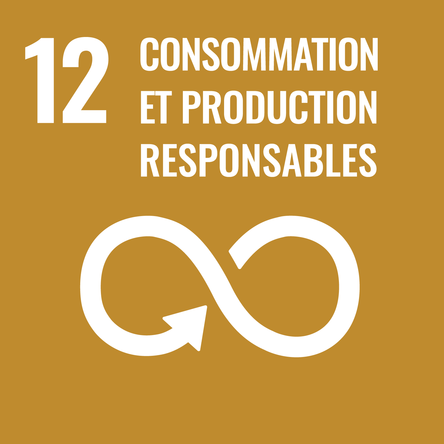 Responsible consumption and production