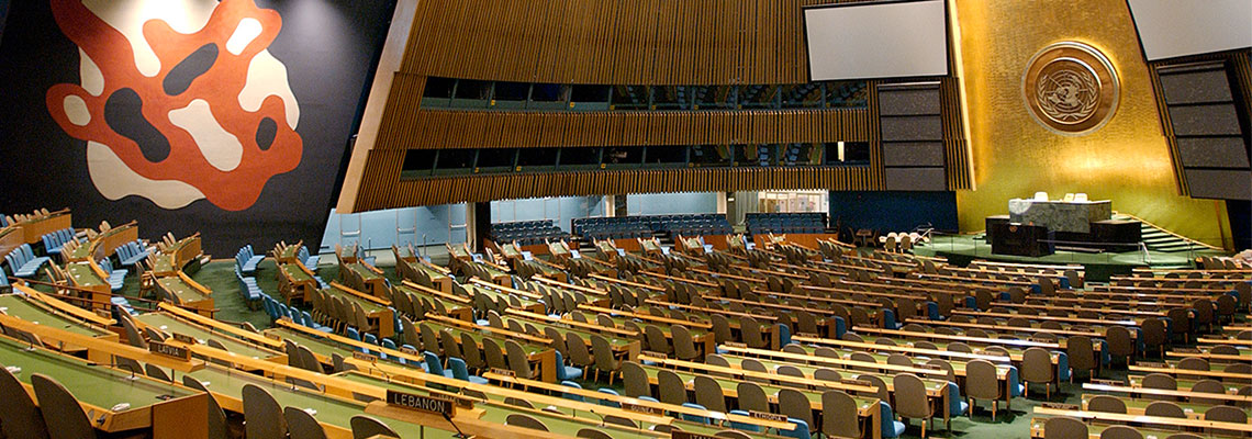 Image result for un assembly