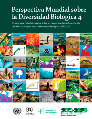Perspectiva Mundial sobre la Diversidad Biológica 4