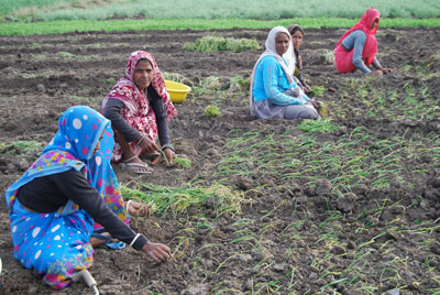 Mujeres cultivando en la India