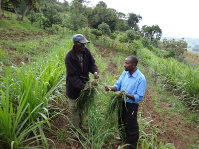 Formando a granjeros en el marco del Proyecto de Pago por los Ecosistemas del Lago Naivasha