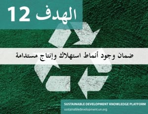 الهدف 12 - ضمان وجود أنماط استهلاك وإنتاج مستدامة