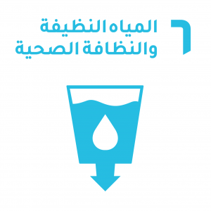 الهدف 6 على خلفيةبيضاء