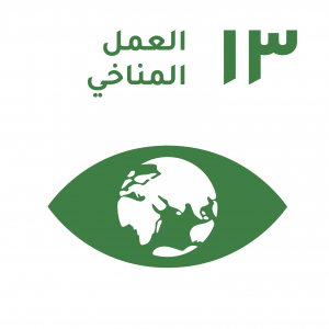 الهدف 13 علي واجهة بيضاء