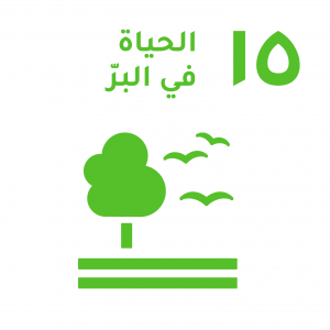 الهدف 15 علي واجهة بيضاء